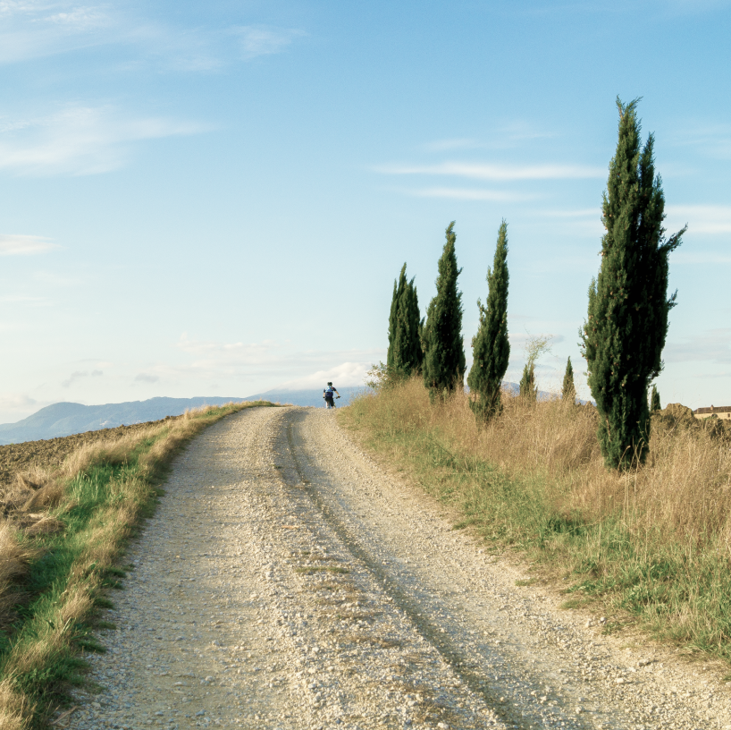 CINTURATO™ | REFORZADO POR DEFINICIÓN